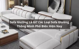 sofa giường là gì